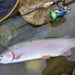 放流日の天竜川ルアーフライテンカラ専用区